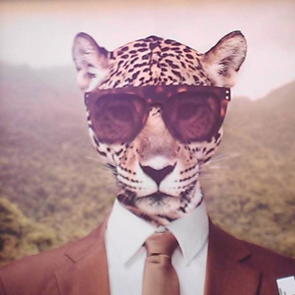 Meet your Posher, Peter-charles